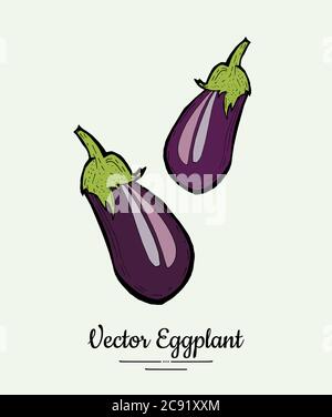 Auberginen Gemüse Lebensmittel vintage Vektor. Handgezeichnete isolierte frische lila Aubergine. Handgezeichnete Abbildung für Lebensmittel Stock Vektor