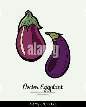 Auberginen Gemüse Lebensmittel vintage Vektor. Handgezeichnete isolierte frische lila Aubergine. Lebensmittellinie von Hand gezeichnet Stock Vektor