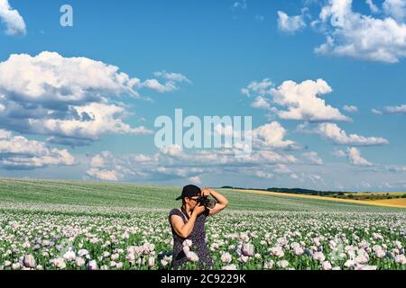 Kaukasische Frau, Fotografin mittleren Alters in dunklem Kleid, fotografiert weiße Mohnfelder unter blauem Himmel mit Wolken Stockfoto