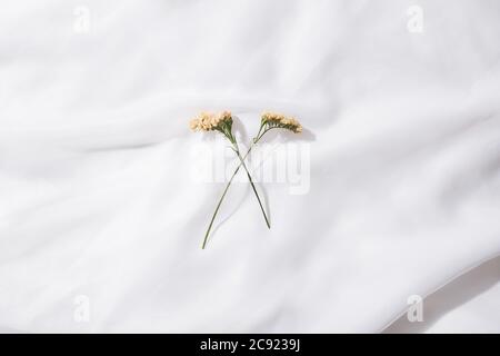 Draufsicht auf Voile Stoff Hintergrund mit zwei Blumen gekreuzt in der Mitte mit Platz für Text Stockfoto