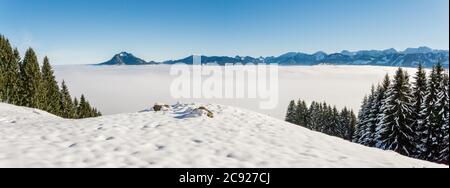 Erstaunlicher Winter Panoramablick auf verschneite Bergkette über Inversionsnebelwolken mit Waldbäumen. Sonniger Blick vom Oftersschwanger Horn nach Gruenten Stockfoto