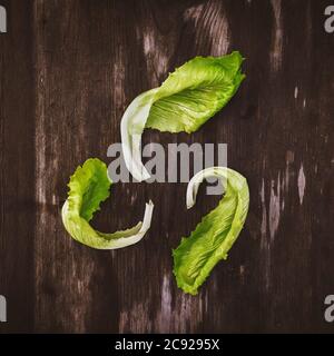 Muster aus frischen Salatleaven auf einem dunklen Holztisch. Batavia-Salat Stockfoto