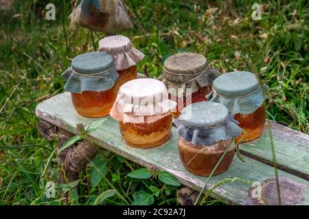 Honig im Hobbiton, Neuseeland. Der Ort, wo Hobbits in ihren Löchern leben. Stockfoto