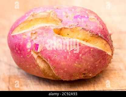 Kartoffelknolle mit Wachstumsrissen, Sorte roter Hahn. Stockfoto