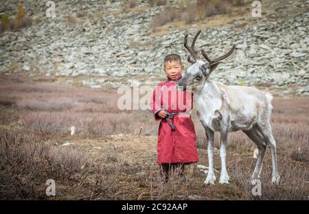 tsaatan Kind in der nordmongolischen Landschaft mit einem Baby Rentier Stockfoto