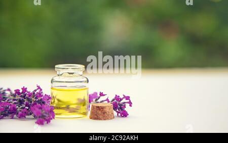 Ätherisches Lavendelöl in einer kleinen Flasche. Selektiver Fokus.Natur. Stockfoto