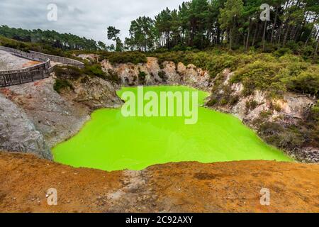 Devil's Cave Pool im Wai-O-Tapu Thermalwonderland, Rotorua, Neuseeland. Stockfoto