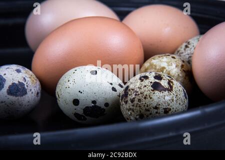 Einige gesunde einheimische Eier und Wachteleier befinden sich in einem Holzkorb neben einem Holzlöffel. Stockfoto