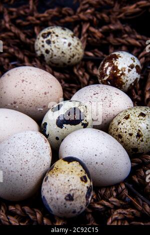 Einige gesunde einheimische Eier und Wachteleier befinden sich in einem Holzkorb neben einem Holzlöffel. Stockfoto