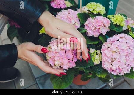 Mädchen berührt blühenden weißen Zweig mit der Hand. Kirschblütenbaum. Frühlingsblüte der Sinnlichkeit. Berühren Sie die Feinheit der Natur. Zarte Hand des Mädchens Stockfoto