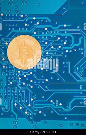Der Bitcoin liegt auf dem Mainboard, die Goldmünze der Kryptowährung auf der blauen Platine ist eine Draufsicht, niemand. Stockfoto
