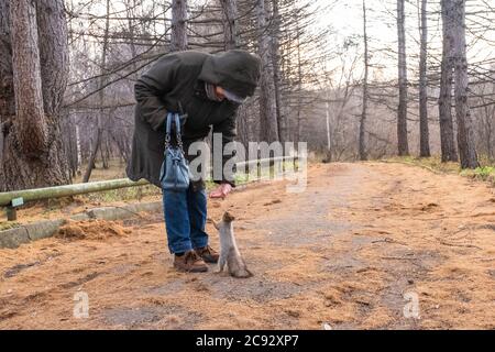 Jekaterinburg, Russland - 30. Oktober 2019: Im Herbst, in alten Stadtpark, ältere Frau mit Pack füttert kleine niedliche Eichhörnchen aus der Hand. Eichhörnchen steht Stockfoto