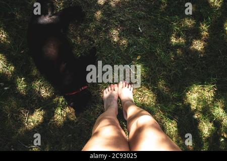 Weibliche Beine auf Gras mit geflügelten schwarzen Katze mit Baum Schatten Stockfoto