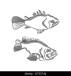 Handgezeichnete Vektordarstellung von Fischen isoliert auf weißem Hintergrund. Retro-Style. Stock Vektor