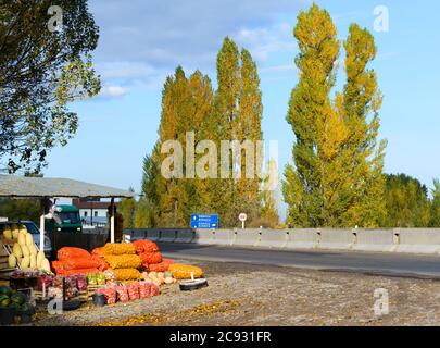 Stallmarkt in der Nähe der A365 Straße im ländlichen Kirgisistan in der Nähe von Bischkek verkauft lokale frisches Obst und Gemüse. Bäume mit Herbstlaub. Stockfoto