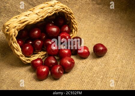 Reife saftige Kirschen in einem Weidenkorb und Kirschen auf einem homespun Stoff mit einer rauen Textur verstreut. Nahaufnahme Stockfoto