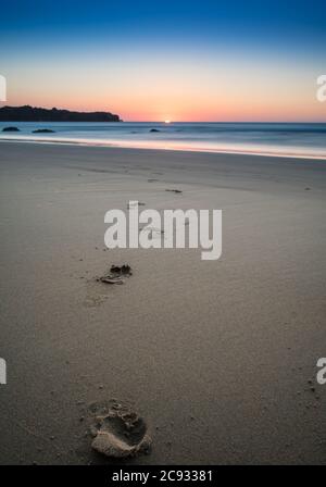 Fußstapfen gehen zum Sonnenuntergang auf dem Meer Stockfoto