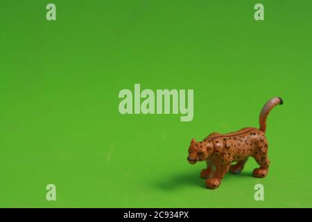 Nahaufnahme eines Gummispielzeug Leoparden auf einem Grün Hintergrund Stockfoto
