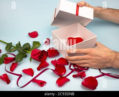 Valentinstag-Konzept Valentinstag. Männliche Hände öffneten eine weiße Geschenkbox vor einem Hintergrund von roten Rosen. Weißes Geschenk in der Mitte eines roten Herzens Stockfoto