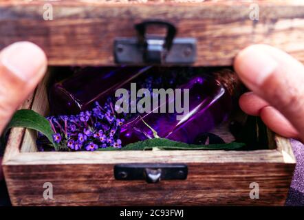 Person öffnet eine Holzkiste mit Glasflaschen mit violetten Tränke und Blumen Stockfoto