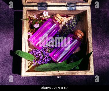 Hoher Kontrast. Zwei rosa Liebestränke in einer Holzkiste mit Blumen Stockfoto