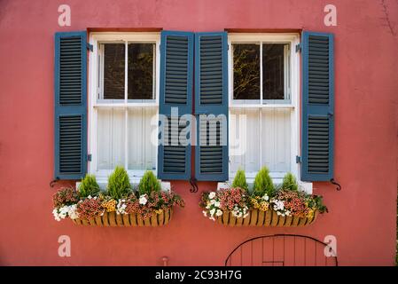 Blume Fenster in der historischen Innenstadt von Charleston, South Carolina Stockfoto