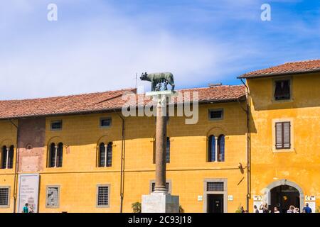 Pisa, Italien - 14. August 2019: Der Kapitolinische Wolf oder Lupa Capitolina ist eine Bronzeskulptur auf der Piazza dei Miracoli oder dem Platz der Wunder in Pisa Stockfoto