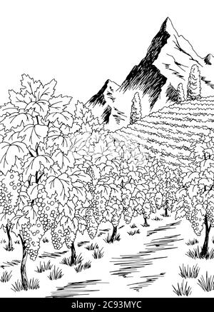 Weinberg Grafik schwarz weiß vertikale Landschaft Skizze Illustration Vektor Stock Vektor