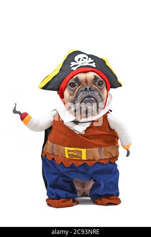 Französischer Bulldog Hund verkleidet mit Piraten Halloween Ganzkörper Kostüm mit Hut und gefälschte Haken Arm, isoliert auf weißem Hintergrund Stockfoto