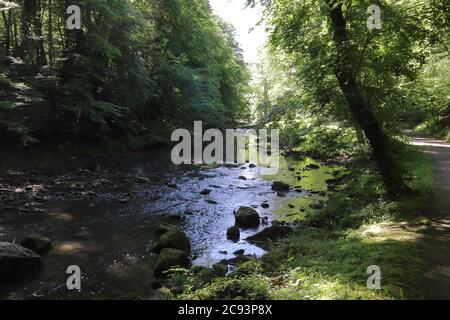 Pforzheim, Baden-Württemberg/ Deutschland - Juni 02 2019: In einem Park am Wuerm in der Nähe von Pforzheim, Deutschland Stockfoto