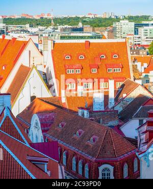 Sonnenschein über rot gefliesten Dächern der Altstadt von Tallinn mit Häusern von traditionellen Bauwerken, moderner Skyline im Hintergrund, Estland Stockfoto