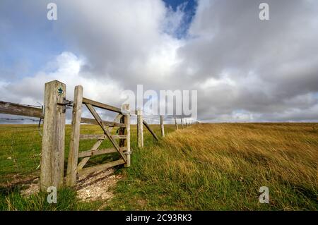 South Downs National Park, Sussex, Großbritannien in der Nähe von Firle Beacon. Ein Tor und Zaun auf einem Brückenweg in der Nähe des Gipfels von Firle Beacon. Stockfoto