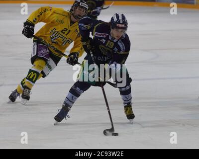 Langenthal, Kanton Bern (BE)/ Schweiz - Dezember 16 2018: Eishockey-Spiel des Teams Elite B des SC Langenthal aigainst HCT Young Lions Stockfoto