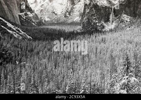 Yosemite Valley nach einem Wintersturm, Yosemite National Park, Kalifornien USA Stockfoto