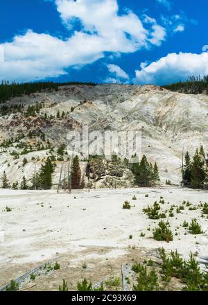 Roaring Mountain, Yellowstone-Nationalpark Stockfoto