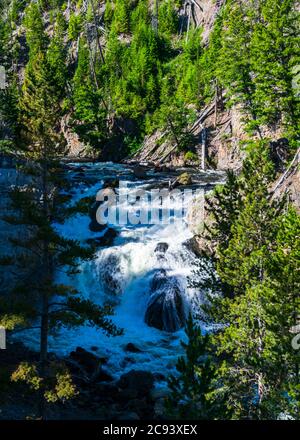 Kaskade auf dem Firehole River im Firehole Canyon, Yellowstone National Park Stockfoto