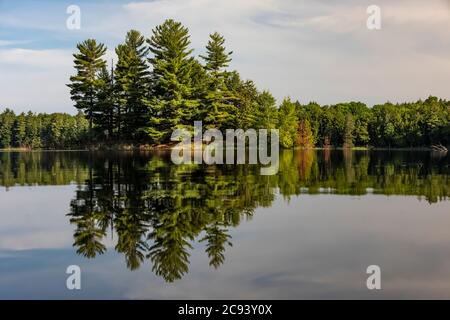 Insel in Imp Lake im Ottawa National Forest auf der oberen Halbinsel von Michigan, USA Stockfoto