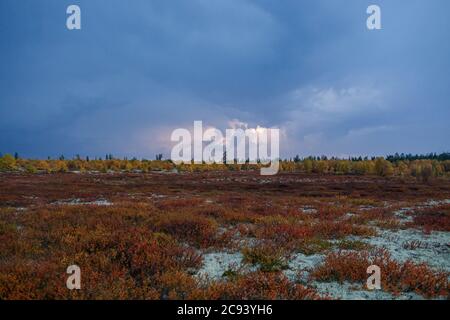 Dramatisches Herbstgewitter im hohen Norden. Arktis, Nenzen Autonomes Gebiet. Stockfoto