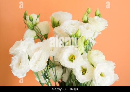 Schöner eustoma Blumenstrauß auf orange Stockfoto