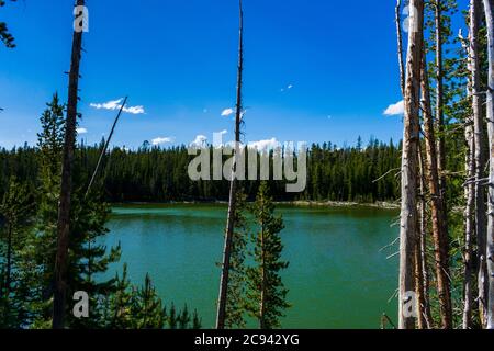 Emerald Green See im Yellowstone Nationalpark Stockfoto