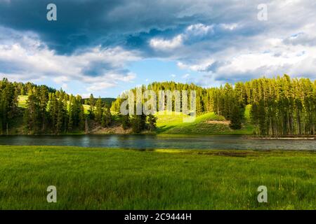 Sommer Gewitterwolken bilden sich über Hayden Valley im Yellowstone National Park Stockfoto