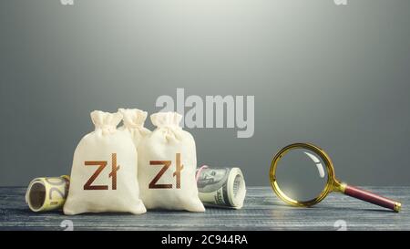 Polnische Zloty Geldbeutel und Lupe. Finanzielle Ressourcen finden, Projekte finanzieren. Überwachung verdächtiger Transaktionen, Cashflows und der le Stockfoto