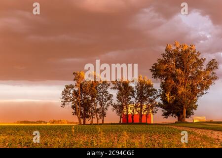 Ein großer Staubsturm weht bei Sonnenuntergang über ein Feld und zu Hause und wirft einen lebendigen, tiefen Orange über den Horizont. Stockfoto