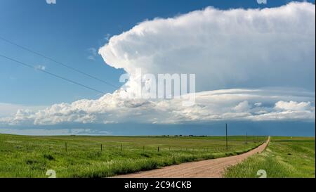 Panorama eines massiven Sturmsystems, das eine Vortornadostufe ist, passiert einen grasbewachsenen Teil der Great Plains, während er heftig versucht, mehr zu generieren Stockfoto