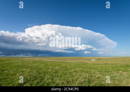 Panorama eines massiven Sturmsystems, das eine Vortornadostufe ist, passiert einen grasbewachsenen Teil der Great Plains, während er heftig versucht, mehr zu generieren Stockfoto