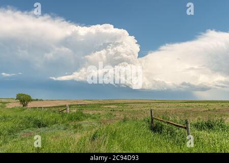 Panorama eines massiven Sturmsystems, das eine Vortornadostufe ist, passiert einen grasbewachsenen Teil der Great Plains, während er heftig versucht, mehr zu generieren Stockfoto