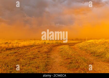 Ein großer Staubsturm weht bei Sonnenuntergang über ein Feld und wirft einen lebendigen, tiefen Orange über den Horizont. Stockfoto