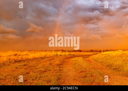 Ein großer Staubsturm weht bei Sonnenuntergang über ein Feld und wirft einen lebendigen, tiefen Orange über den Horizont. Stockfoto