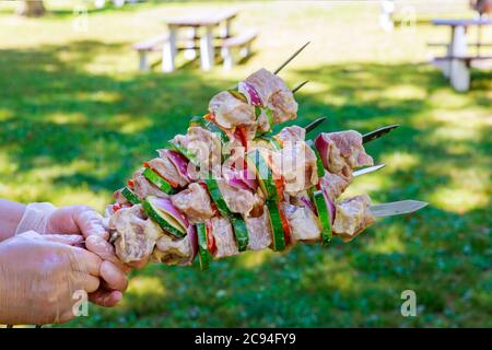 Hände halten Schischebab aus Schweinefleisch und Gemüse auf Metallspießen. Stockfoto