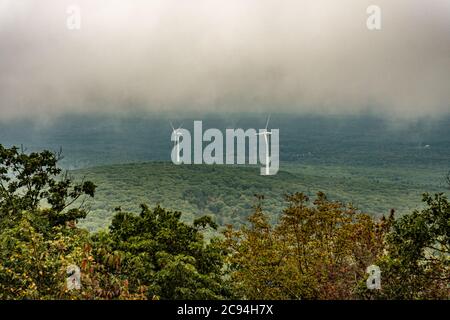 Ein sehr nebliger Tag auf dem Mount Wachusett in Princeton, Massachusetts Stockfoto